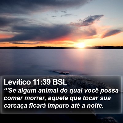 Levítico 11:39 BSL Bible Verse Image