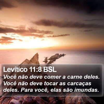 Levítico 11:8 BSL Bible Verse Image