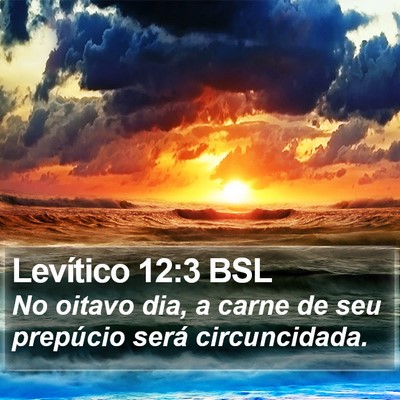 Levítico 12:3 BSL Bible Verse Image