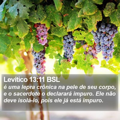 Levítico 13:11 BSL Bible Verse Image