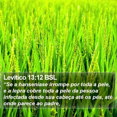 Levítico 13:12 BSL Bible Verse Image