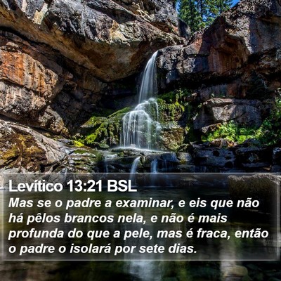 Levítico 13:21 BSL Bible Verse Image