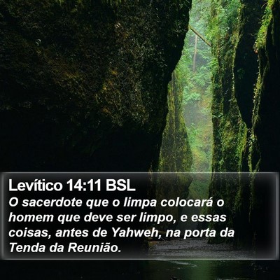 Levítico 14:11 BSL Bible Verse Image