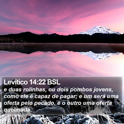 Levítico 14:22 BSL Bible Verse Image