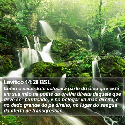 Levítico 14:28 BSL Bible Verse Image
