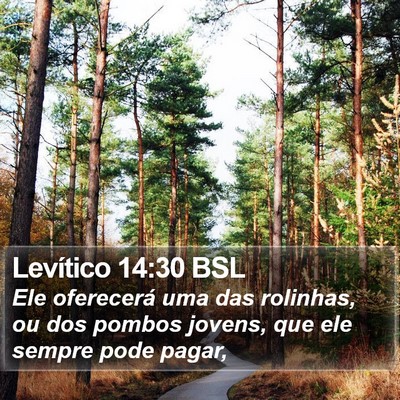 Levítico 14:30 BSL Bible Verse Image