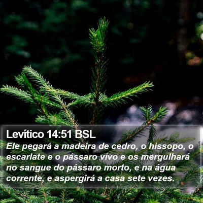 Levítico 14:51 BSL Bible Verse Image