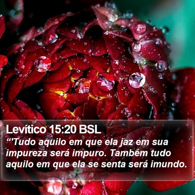 Levítico 15:20 BSL Bible Verse Image