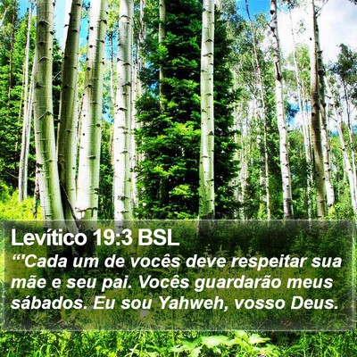 Levítico 19:3 BSL Bible Verse Image