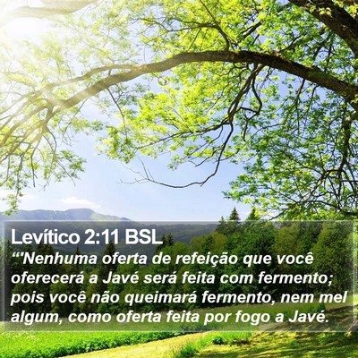 Levítico 2:11 BSL Bible Verse Image