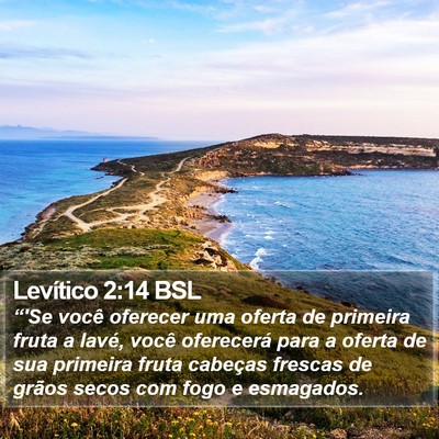 Levítico 2:14 BSL Bible Verse Image