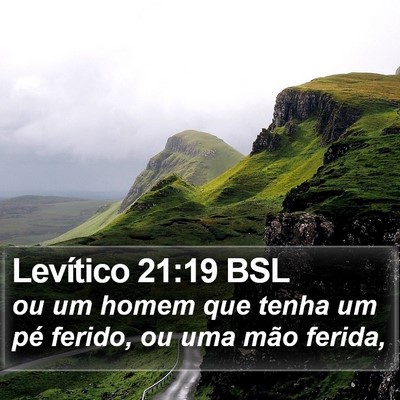 Levítico 21:19 BSL Bible Verse Image