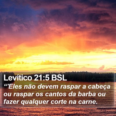 Levítico 21:5 BSL Bible Verse Image