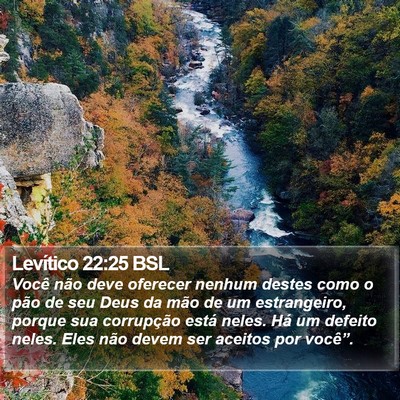 Levítico 22:25 BSL Bible Verse Image