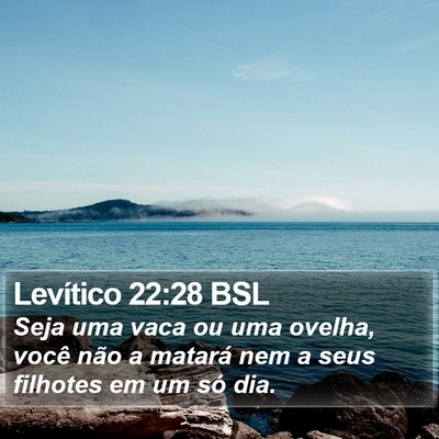 Levítico 22:28 BSL Bible Verse Image