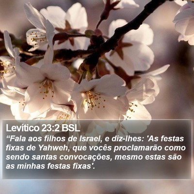 Levítico 23:2 BSL Bible Verse Image