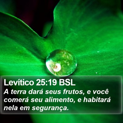 Levítico 25:19 BSL Bible Verse Image