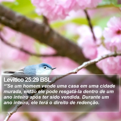 Levítico 25:29 BSL Bible Verse Image