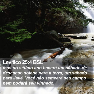 Levítico 25:4 BSL Bible Verse Image