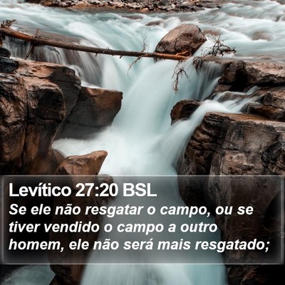 Levítico 27:20 BSL Bible Verse Image