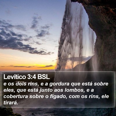 Levítico 3:4 BSL Bible Verse Image