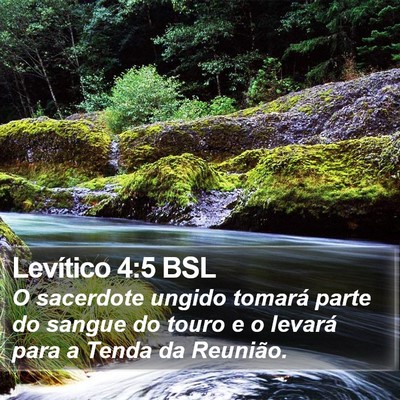Levítico 4:5 BSL Bible Verse Image
