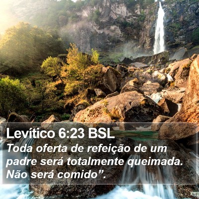 Levítico 6:23 BSL Bible Verse Image