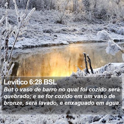 Levítico 6:28 BSL Bible Verse Image