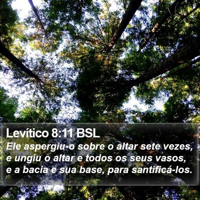 Levítico 8:11 BSL Bible Verse Image