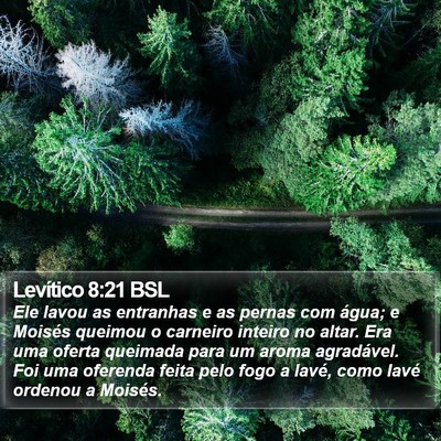 Levítico 8:21 BSL Bible Verse Image