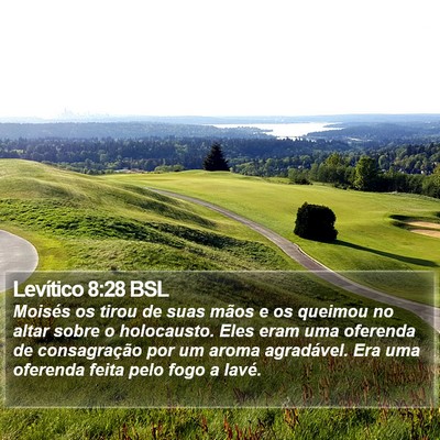 Levítico 8:28 BSL Bible Verse Image