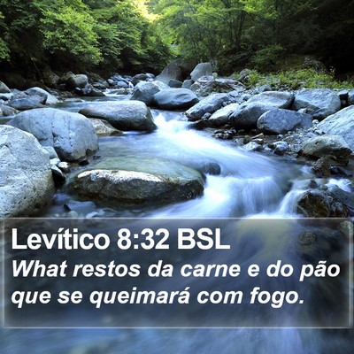 Levítico 8:32 BSL Bible Verse Image