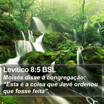 Levítico 8:5 BSL Bible Verse Image