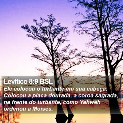 Levítico 8:9 BSL Bible Verse Image