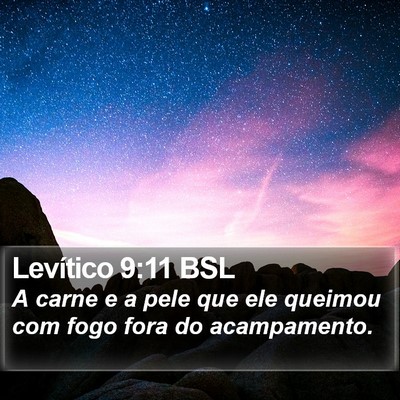 Levítico 9:11 BSL Bible Verse Image