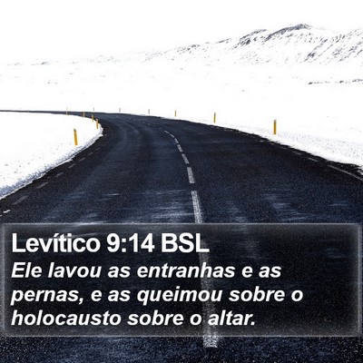 Levítico 9:14 BSL Bible Verse Image