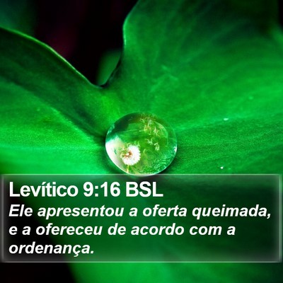 Levítico 9:16 BSL Bible Verse Image