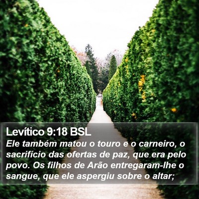 Levítico 9:18 BSL Bible Verse Image