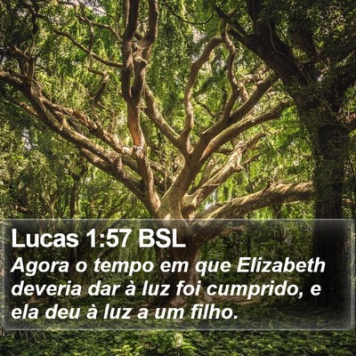 Lucas 1:57 BSL Bible Verse Image