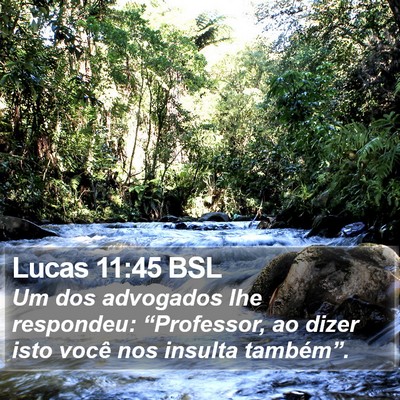 Lucas 11:45 BSL Bible Verse Image