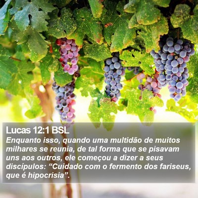 Lucas 12:1 BSL Bible Verse Image