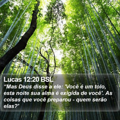 Lucas 12:20 BSL Bible Verse Image
