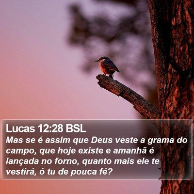 Lucas 12:28 BSL Bible Verse Image