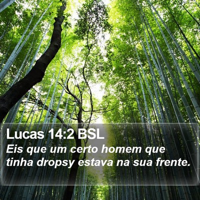 Lucas 14:2 BSL Bible Verse Image