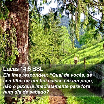 Lucas 14:5 BSL Bible Verse Image