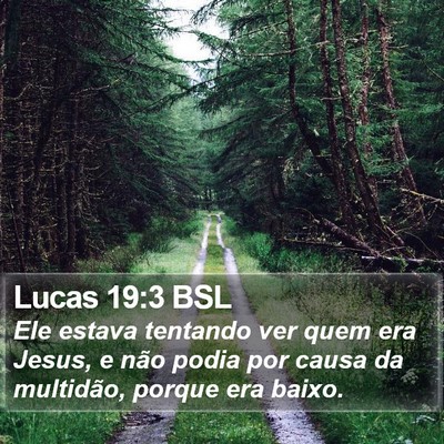 Lucas 19:3 BSL Bible Verse Image