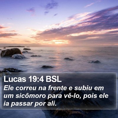 Lucas 19:4 BSL Bible Verse Image