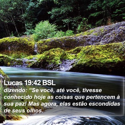Lucas 19:42 BSL Bible Verse Image