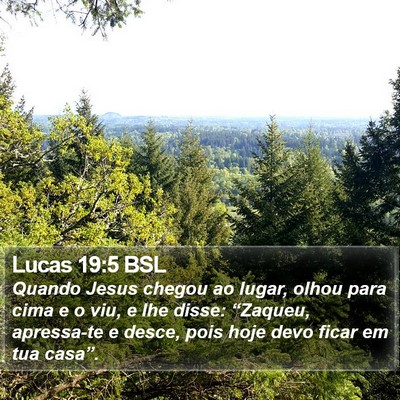 Lucas 19:5 BSL Bible Verse Image