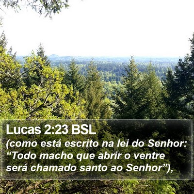 Lucas 2:23 BSL Bible Verse Image